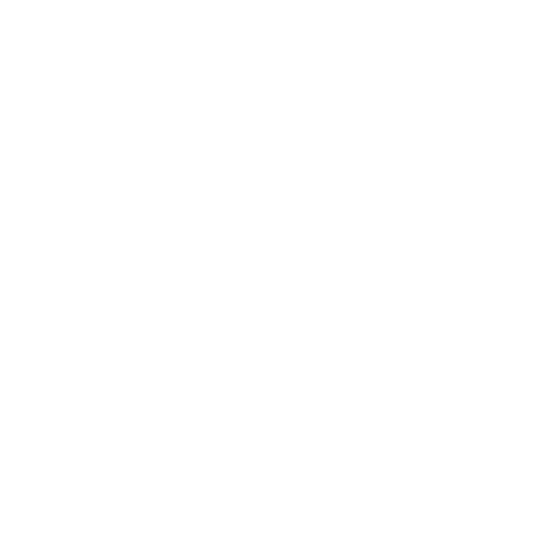 Digər texnika